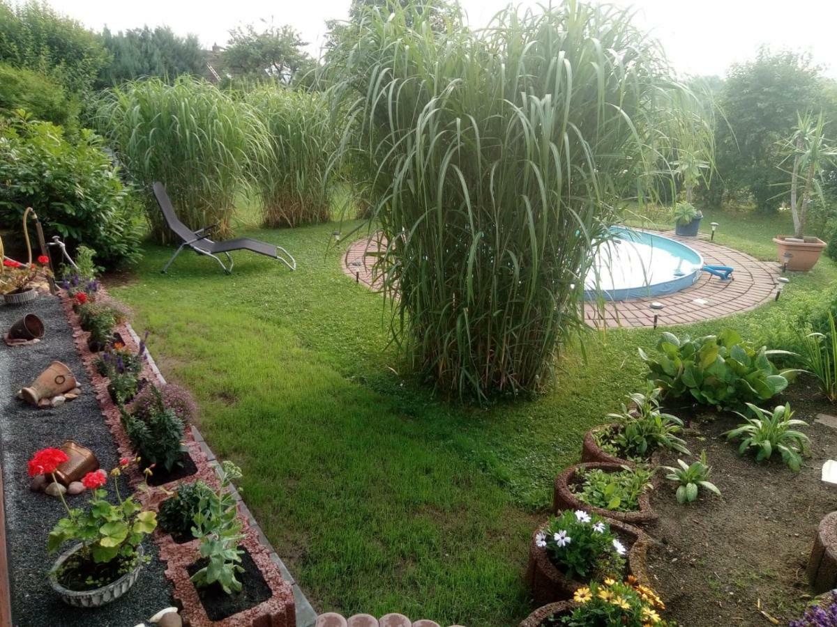 Ferienwohnung Blick Ins Land Goslar Buitenkant foto